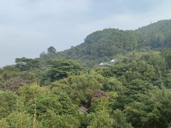 -水濂山森林公园