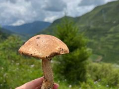-松州古城