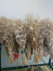 -太湖雪蚕桑文化园