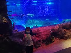 -沈阳海洋探索中心