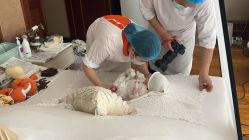 -玛瑞莎孕婴童摄影到家拍