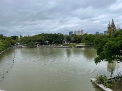 -江心屿景区