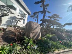 -罗红摄影艺术馆