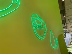 -油梨树AVOCADO TREE(望京店)