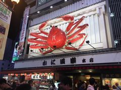 -蟹道乐(道顿堀本店)