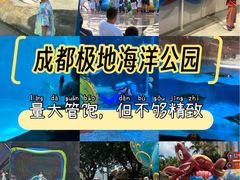 -海合安成都极地海洋公园