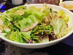 -新白鹿餐厅(百联中环店)