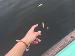 南湖公园游乐场(三项套餐)-沈阳南湖公园