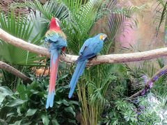 -杭州开元森泊度假乐园