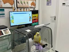 -立德异宠动物医院.兔鸟爬.内窥镜(天河店)