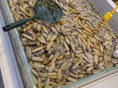 -集品鲜湾·蒸汽海鲜自助料理(青岛银座和谐广场店)
