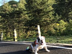 -硗碛藏寨·神木垒景区