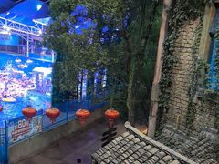 -杭州浪浪浪水公园