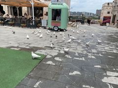 -华谊兄弟（长沙）电影小镇