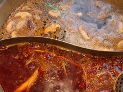 -小天鹅火锅·一线江景洪鼎旗舰店(洪崖洞店)