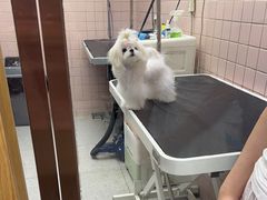 -FAELING PETS美天灵宠物(富力广场店)