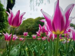-上海鲜花港