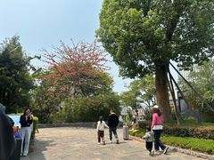 -抚仙湖万达文华酒店