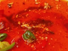 -邮电新村嘉积鸭美味园