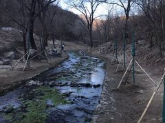 -白水寺森林公园