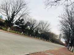 -山东大学(威海校区)