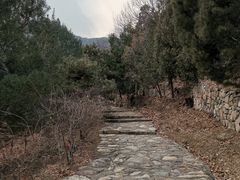 -北京鹫峰国家森林公园