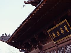 -杭州半山国家森林公园