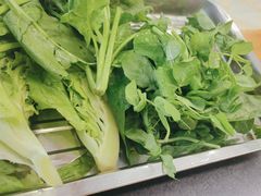 -金鼎雪山牦牛杂火锅(理县总店)