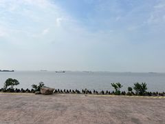 -上海滨江森林公园