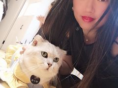 -啵啵喵·猫咖(攀华国际店)
