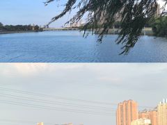 -沙澧河风景区