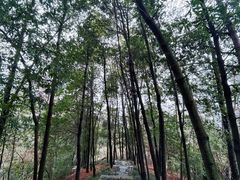 -梦姑塘文化公园