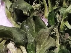 非洲冰草-一叶一世界•素食餐厅(环球中心店)