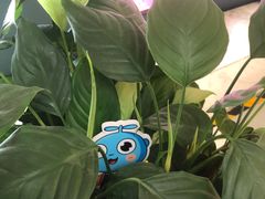 -鹏欣水游城
