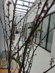 -无界瑜伽普拉提