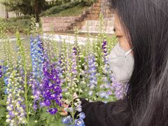 -成飞公园