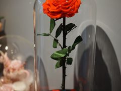 -Flower in(密渡桥店)