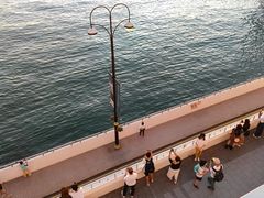 -海港城