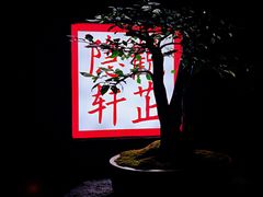 -觀芷隐轩