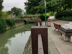 -神仙树公园