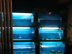 -王家渡火锅店(棕榈泉店)
