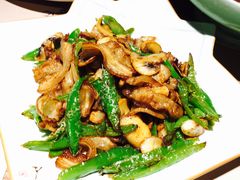 -猫头婴小酒馆FUN OWL(1912店)