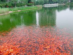 -西海子公园