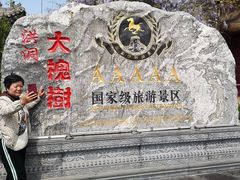 -大槐树寻根祭祖园