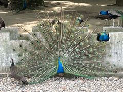 -南京金牛湖风景区