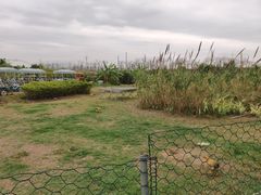 -横琴公社餐厅