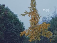 -眉山湿地公园(东坡区)