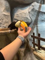 -Zoolung Zoolung动物主题公园(海信广场店)