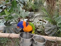 -南宫五洲植物乐园