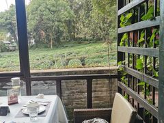 -野蔓果·山野菜(西湖景区·龙井茶田店)